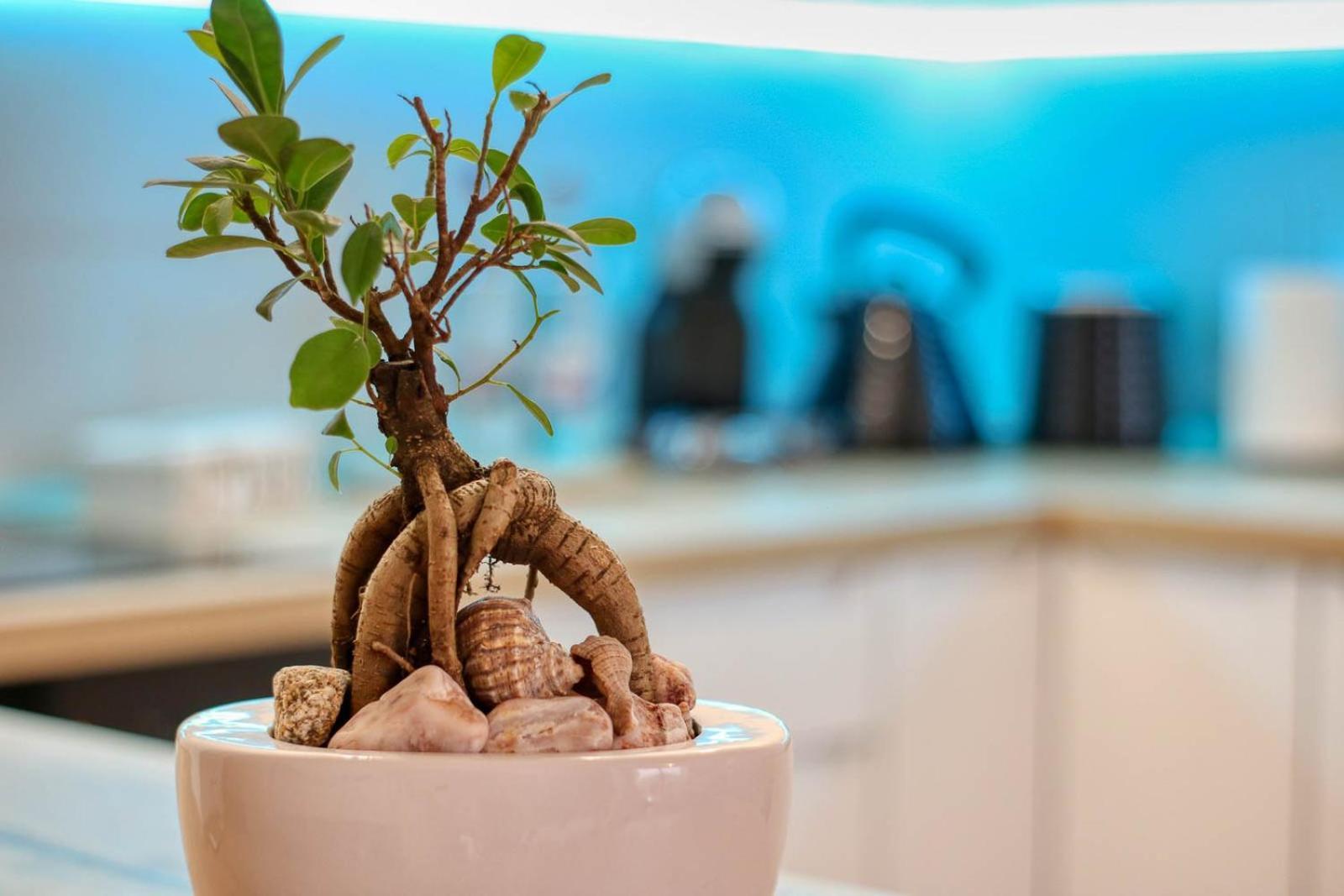 Relaxation Station - My Charming, Cosy&Inviting Apt - Smart Thermostat - Private Parking - Ior Park - Long Term Price Cuts Βουκουρέστι Εξωτερικό φωτογραφία